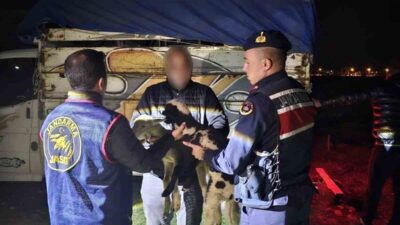 Afyonkarahisar’ın Sandıklı ilçesinde meydana gelen küçükbaş hayvan hırsızlığı JASAT dedektifleri
