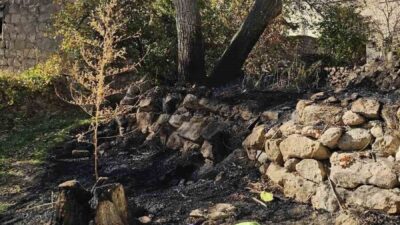 Nevşehir’de 87 yaşındaki Şaziye B. isimli yaşlı kadın, bahçesindeki otları