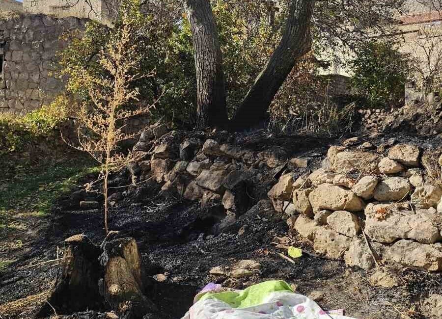 Nevşehir’de 87 yaşındaki Şaziye B. isimli yaşlı kadın, bahçesindeki otları