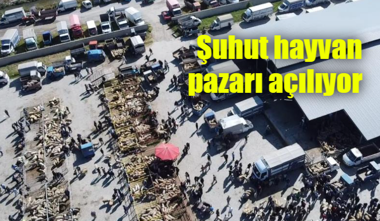 Şap hastalığı nedeniyle uzun bir süredir kapalı olan Şuhut Canlı