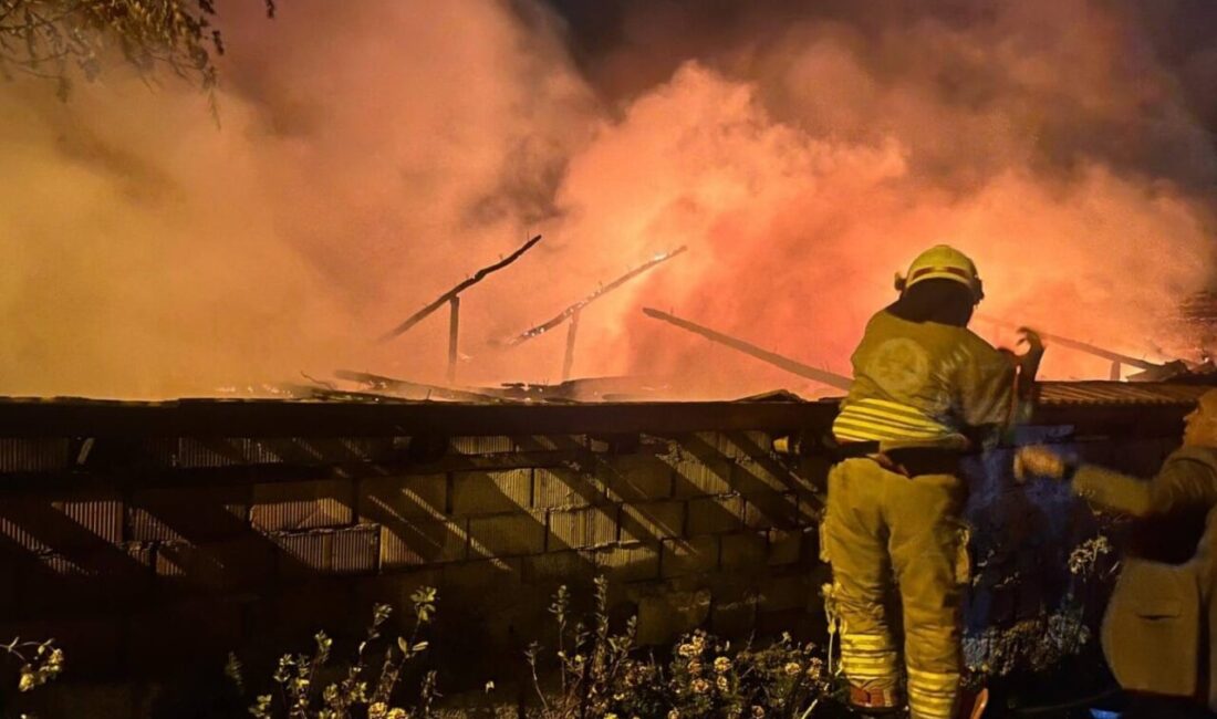 Manisa’nın Turgutlu ilçesine bağlı Derbent Mahallesi’nde meydana gelen yangında bir