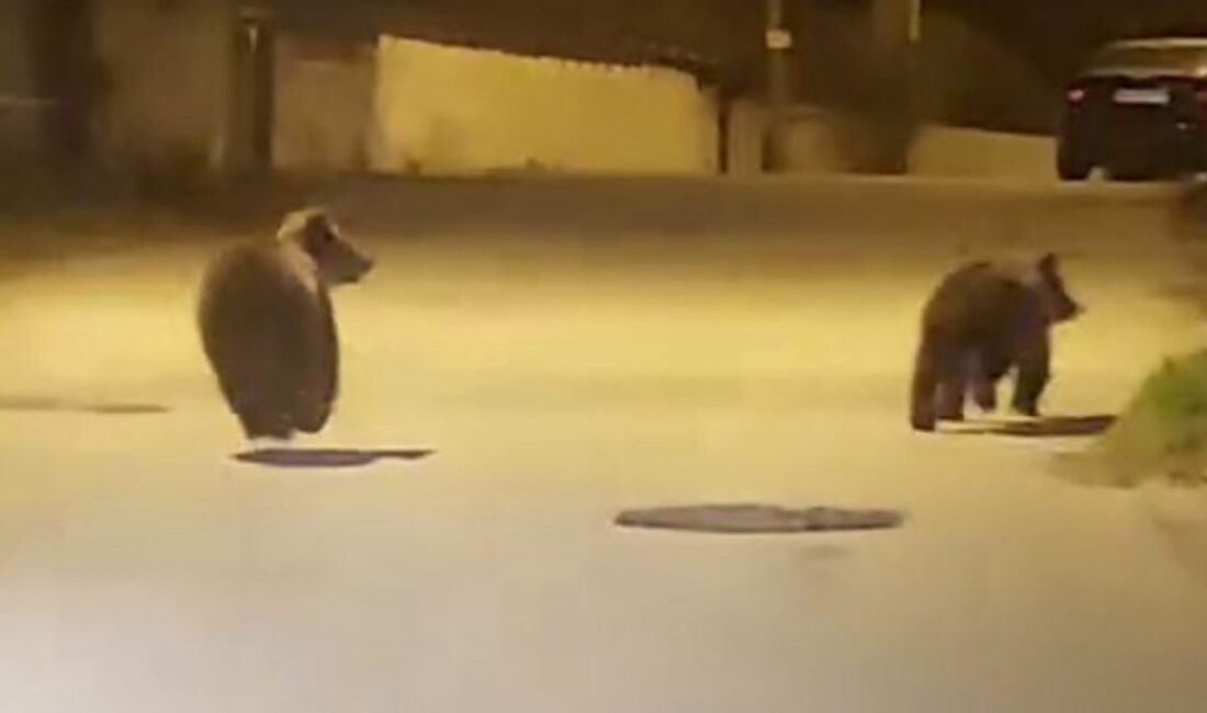 Karabük’ün Safranbolu ilçesinde sokakta seyir halinde olan aracın sürücüsü, önüne