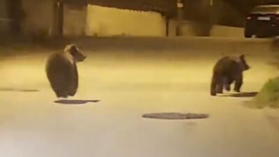 Karabük’ün Safranbolu ilçesinde sokakta seyir halinde olan aracın sürücüsü, önüne