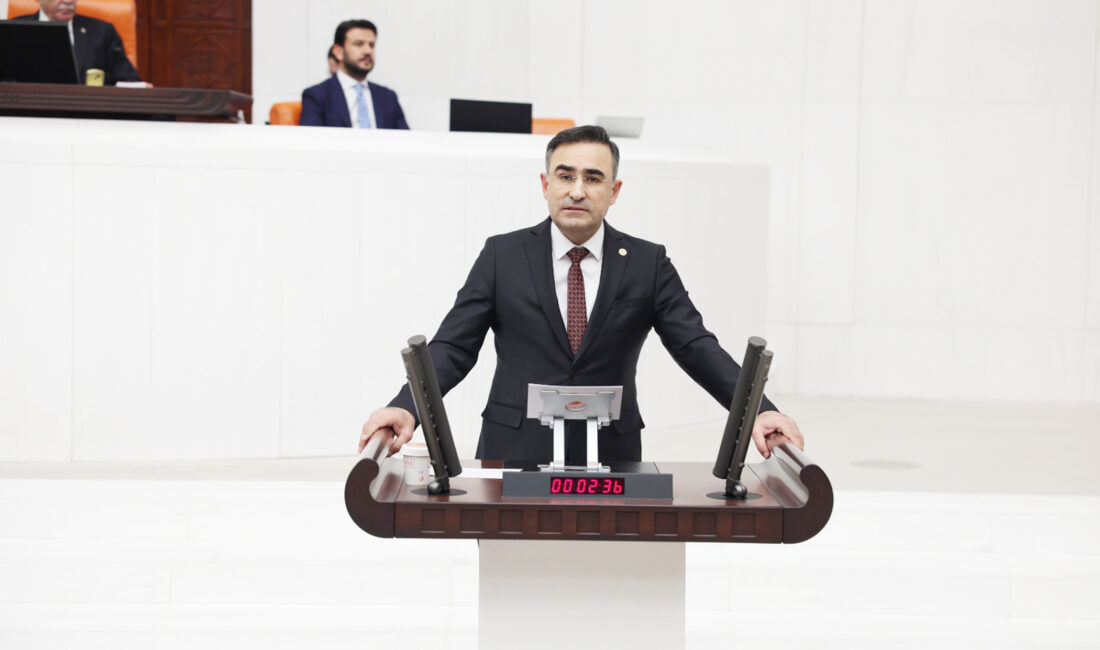 AK Parti Afyon Milletvekili Arslan, TBMM Genel Kurulu’nda 2026 Yılı