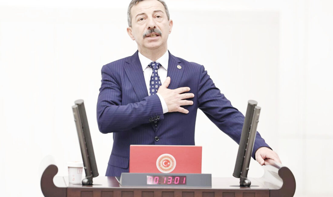 İYİ Parti Bursa Milletvekili Hasan Toktaş, Türkiye Büyük Millet Meclisi