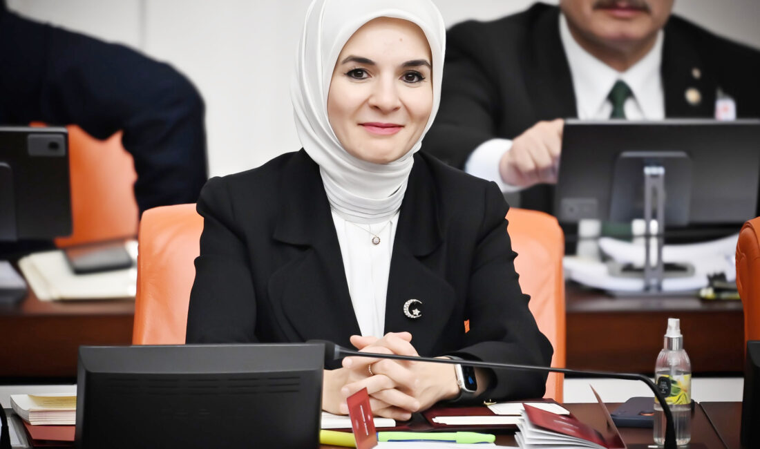 Aile ve Sosyal Hizmetler Bakanı Mahinur Özdemir Göktaş, 2026 Merkezi