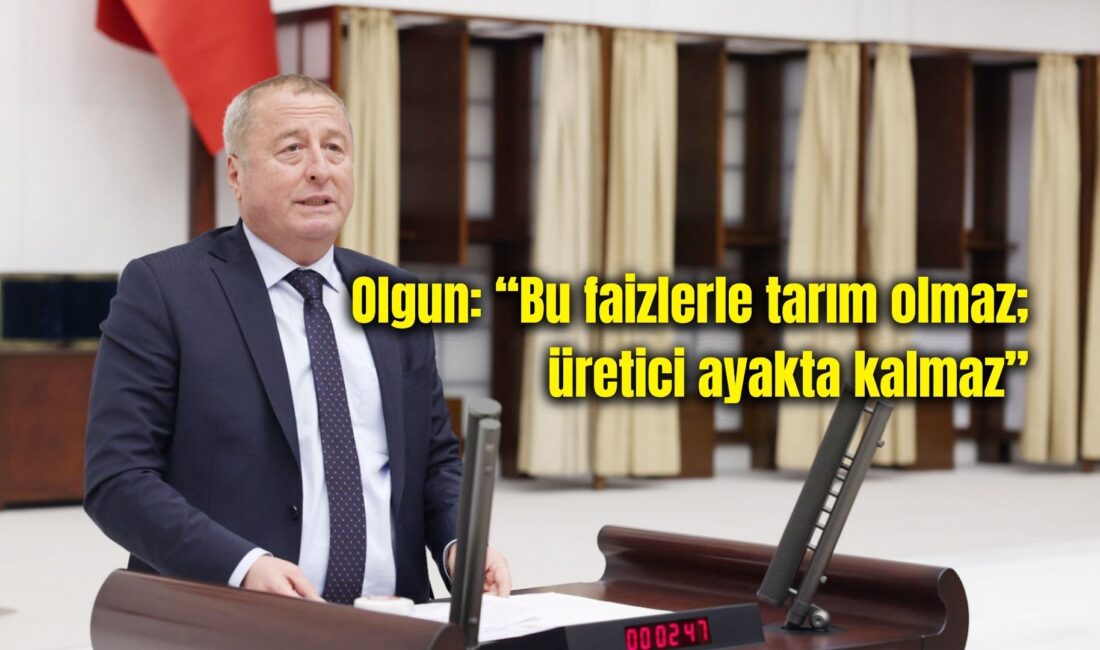 TBMM Genel Kurulu’nda Afyonkarahisar ile ilgili olarak açıklamalarda bulunan İYİ