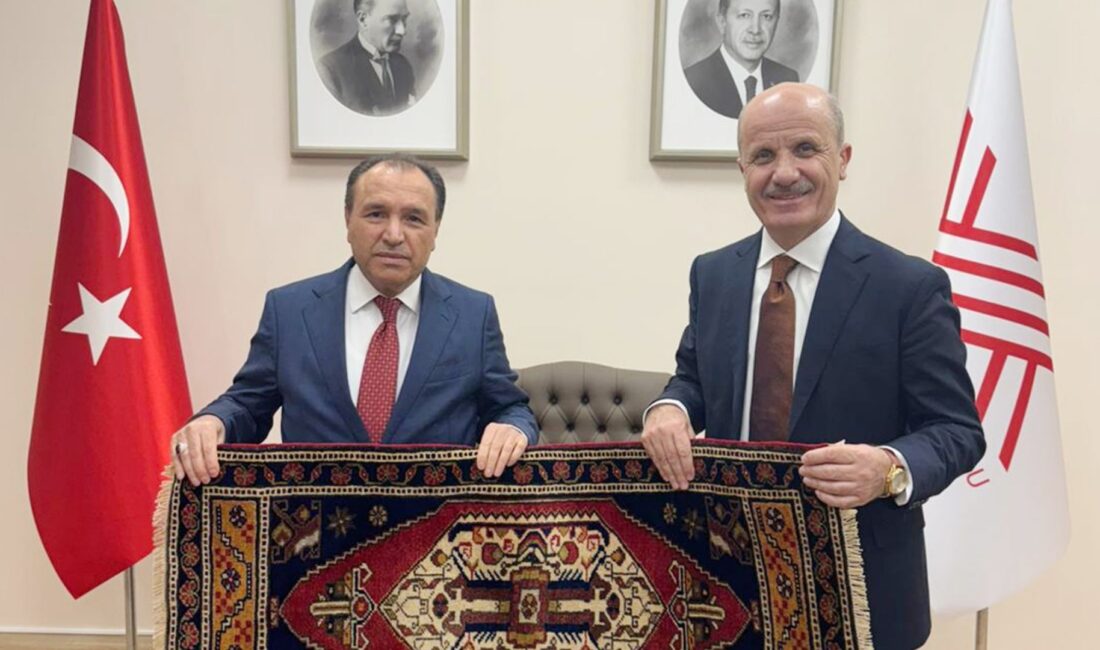 Afyon Kocatepe Üniversitesi (AKÜ) Rektörü Prof. Dr. Mehmet Karakaş, Yükseköğretim