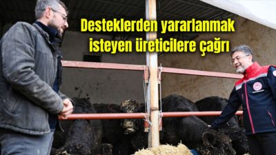 Bakan Yumaklı, etçi hayvan ırkının artırılması için anaç hayvan sayısını