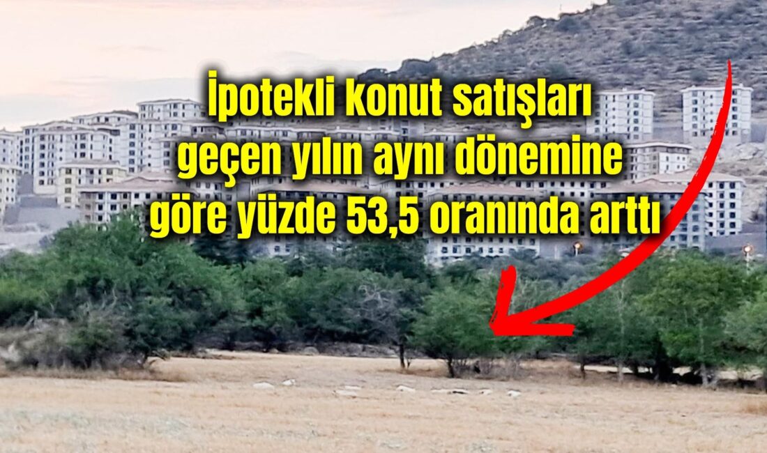TÜİK’in açıkladığı kasım ayı verilerine göre Afyonkarahisar’da 1.023 konut satışı