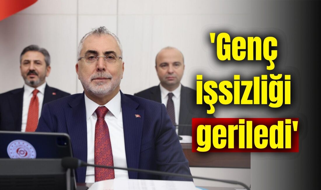 Çalışma ve Sosyal Güvenlik Bakanı Vedat Işıkhan, istihdam kapasitesini ve