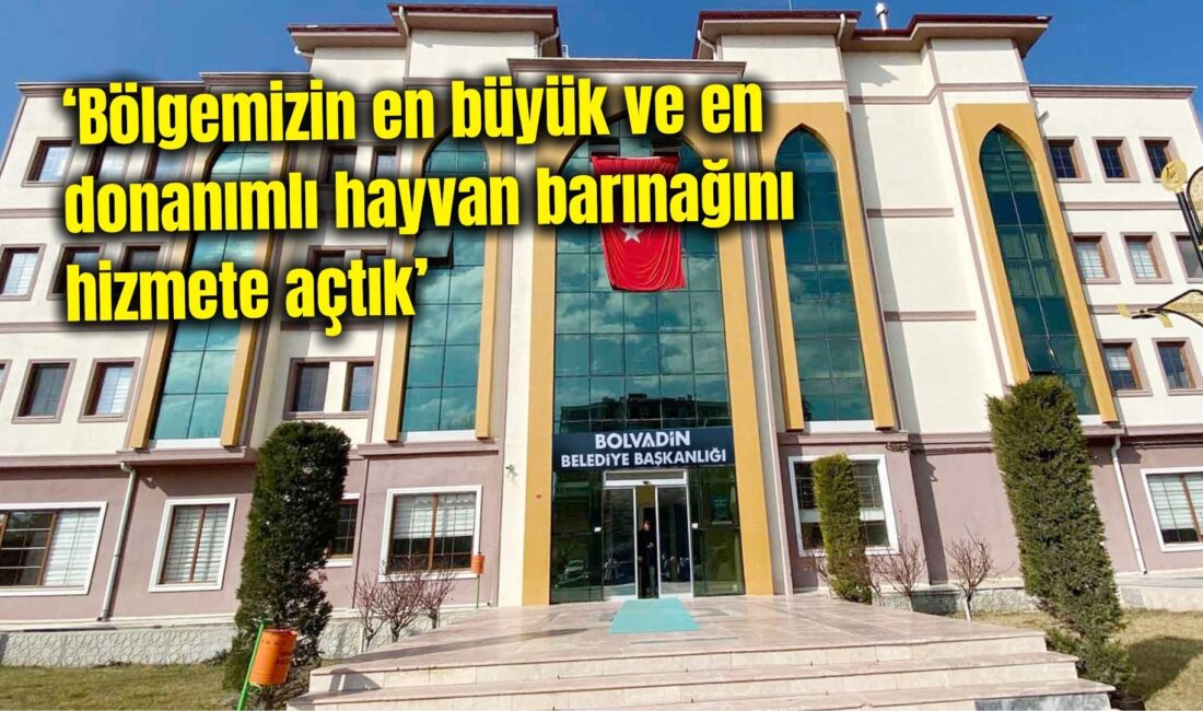 Bolvadin Belediyesi, sokak hayvanlarına yönelik çalışmalar hakkında ortaya atılan iddiaların