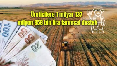 Tarım ve Orman Bakanı İbrahim Yumaklı, 1 milyar 137 milyon 858 bin