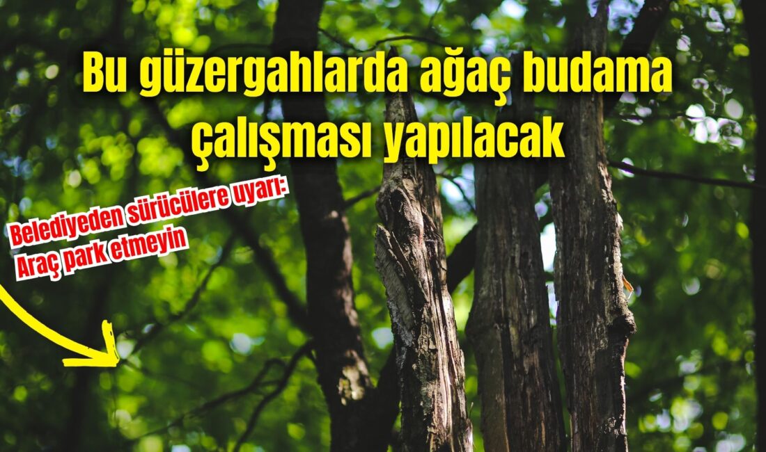Afyonkarahisar Belediyesi Park ve Bahçeler Müdürlüğü tarafından, 28 Aralık 2025