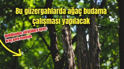 Afyonkarahisar Belediyesi Park ve Bahçeler Müdürlüğü tarafından, 28 Aralık 2025