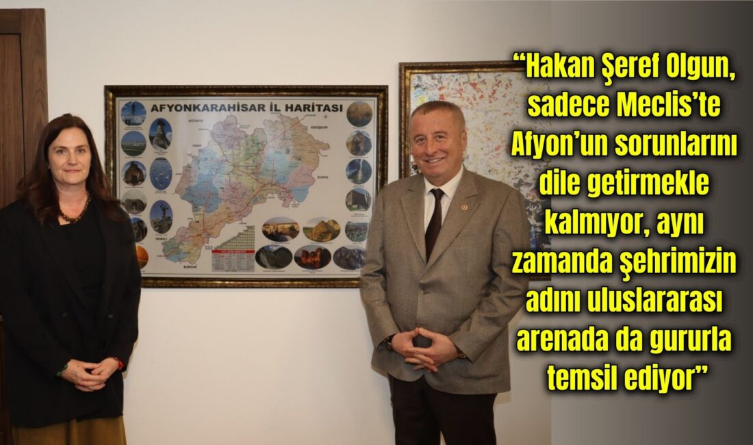 İYİ Parti Genel Başkan Yardımcısı ve Afyonkarahisar Milletvekili Hakan Şeref