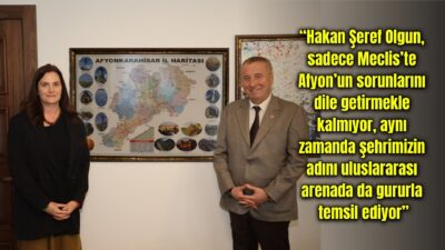 İYİ Parti Genel Başkan Yardımcısı ve Afyonkarahisar Milletvekili Hakan Şeref