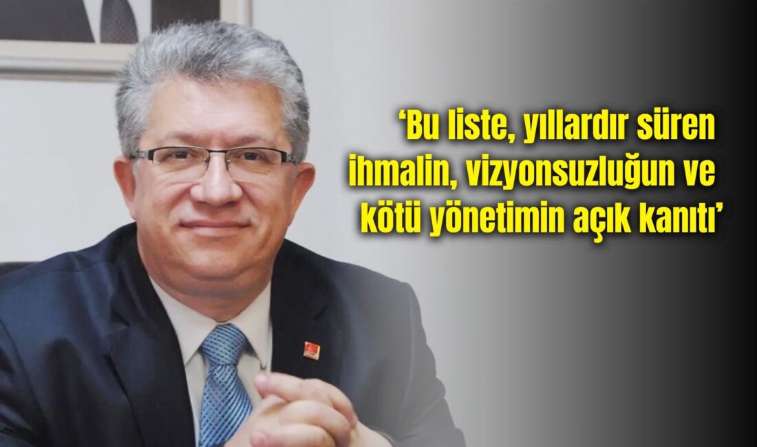 Afyonkarahisar Belediye Meclisi Başkan Vekili ve CHP Belediye Meclis Üyesi