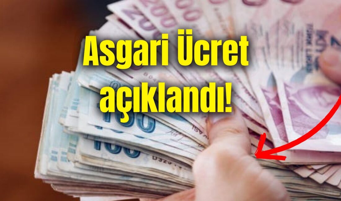 Çalışma ve Sosyal Güvenlik Bakanı Vedat Işıkhan, yeni asgari ücrete