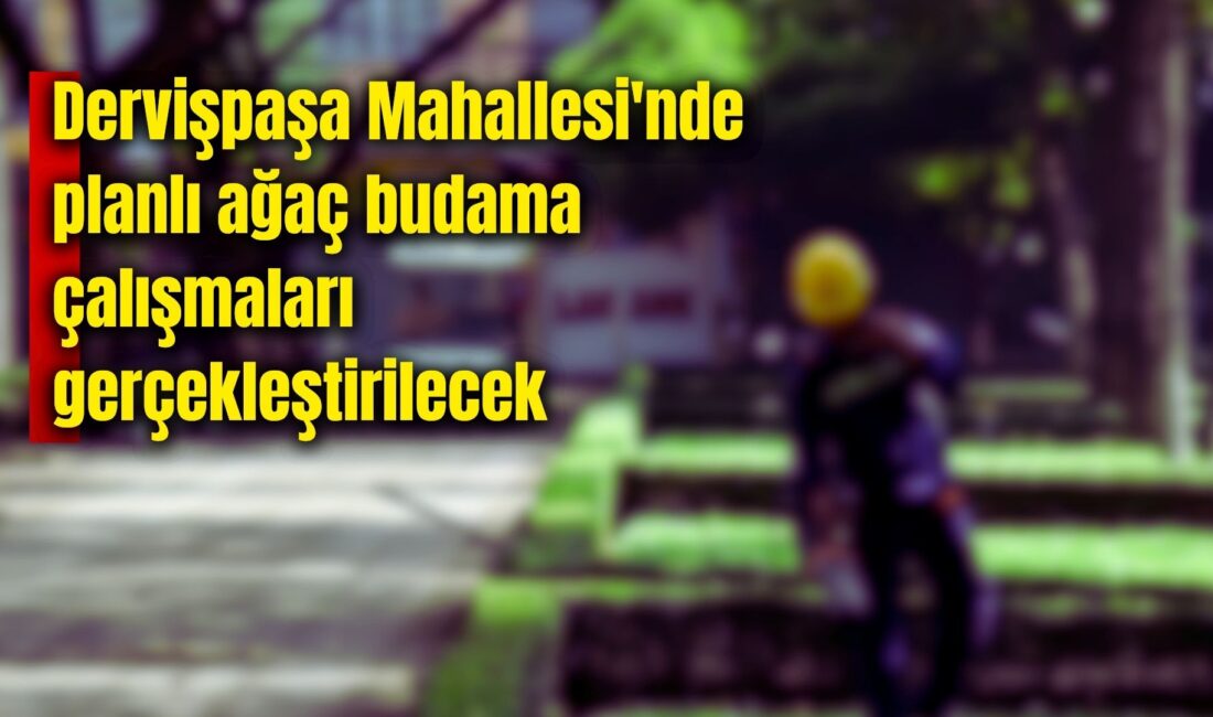 Afyonkarahisar Belediyesi Park ve Bahçeler Müdürlüğü tarafından, 9–15 Aralık 2025