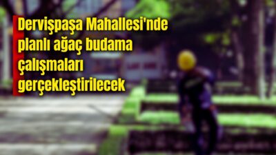 Afyonkarahisar Belediyesi Park ve Bahçeler Müdürlüğü tarafından, 9–15 Aralık 2025