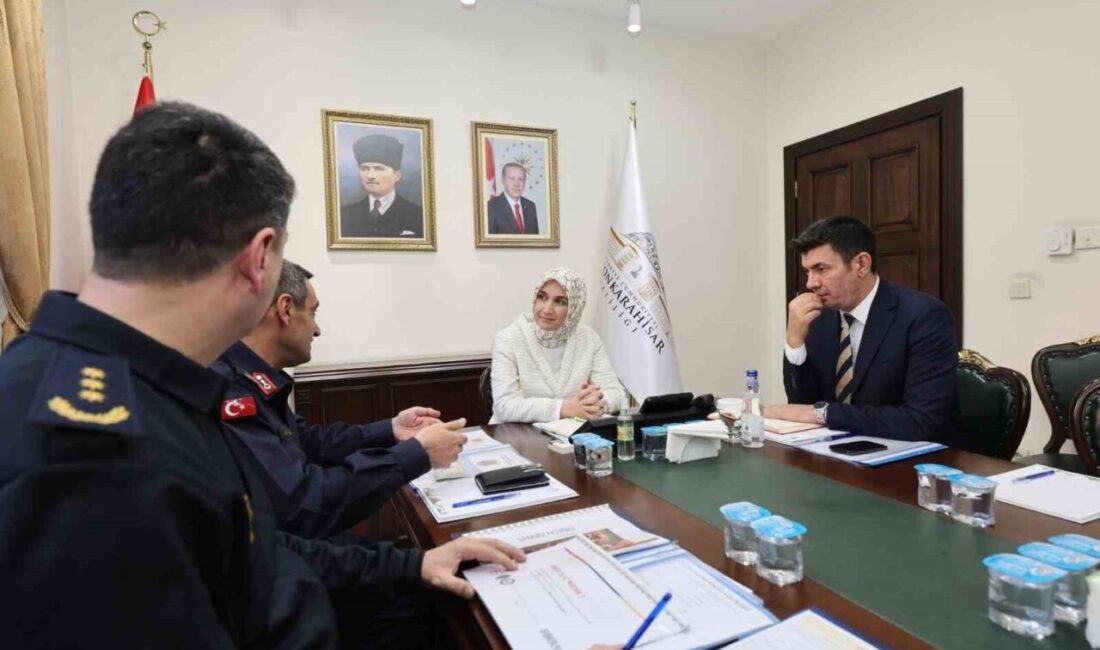Afyonkarahisar’da gerçekleştirilen asayiş toplantısında özellikle trafik kazalarının en aza indirilmesi