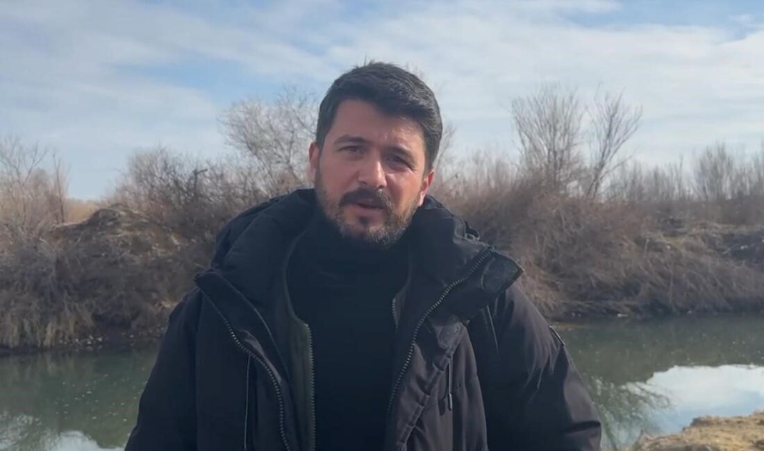 Afyonkarahisar’ın Bolvadin ilçesinde güneye uçarken görüntülenen pelikan sürüsü şaşırttı. Bolvadin