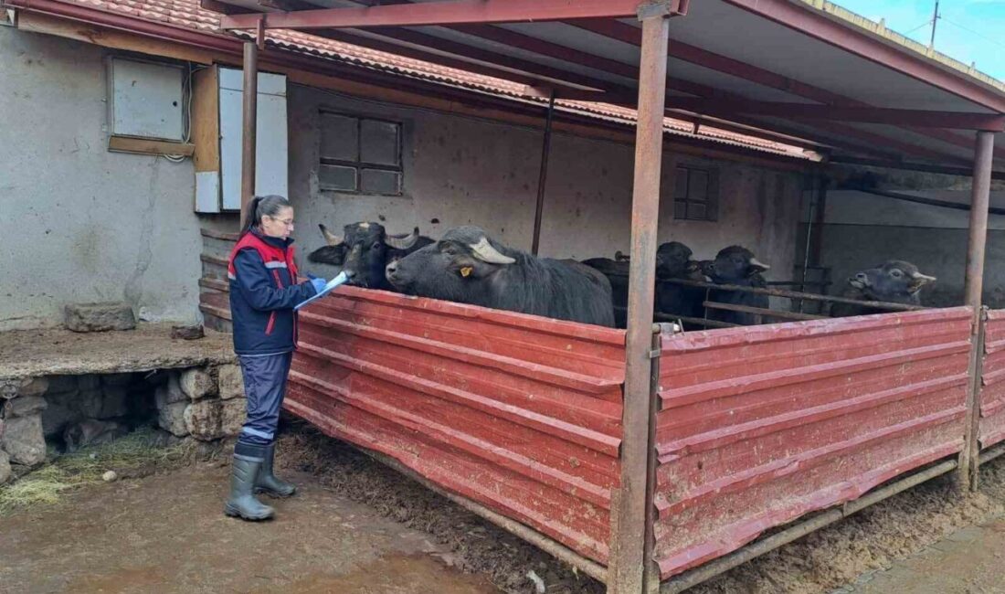 Afyonkarahisar Tarım ve Odman Müdürlüğü tarafından başlatılan ’Halk Elinde Anadolu
