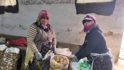 Afyonkarahisar’ın Şuhut ilçesinde patates hasadı sona ererken, ürünün satış fiyatı