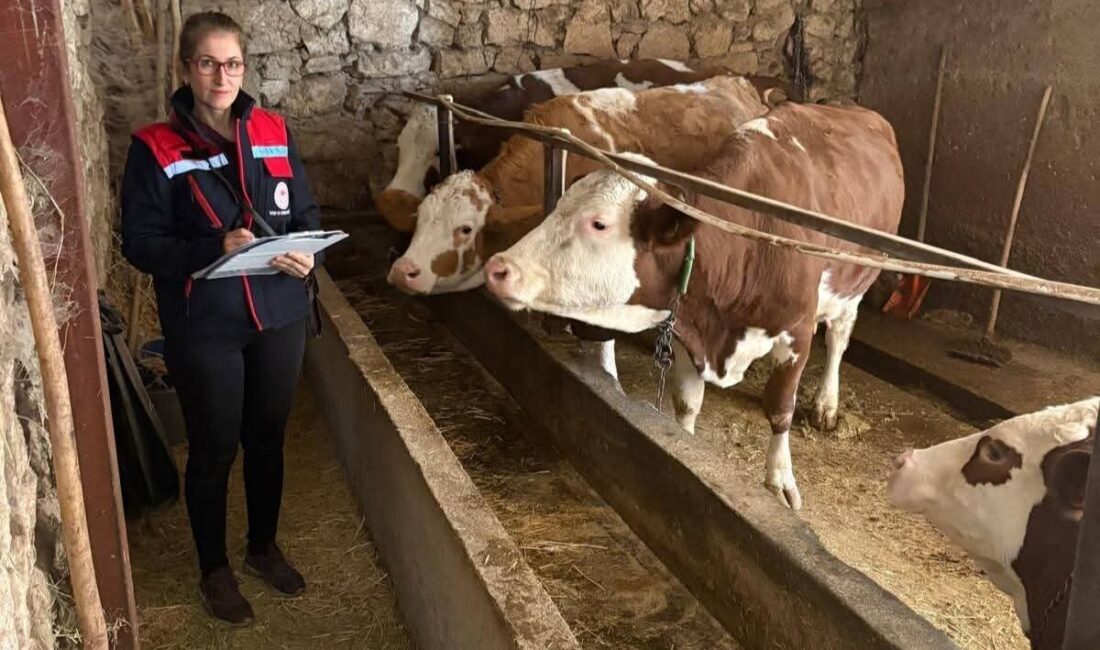 Afyonkarahisar’da Kırsal Kalkınmada Uzman Eller Projelerinin Desteklenmesi programı çerçevesinde hibe