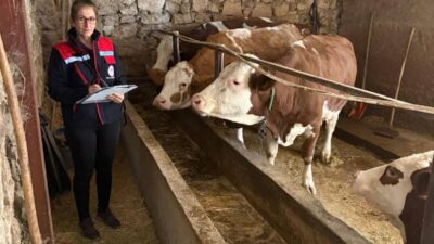 Afyonkarahisar’da Kırsal Kalkınmada Uzman Eller Projelerinin Desteklenmesi programı çerçevesinde hibe