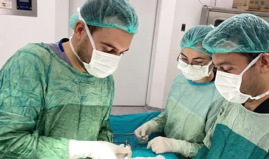 Afyonkarahisar’ın Şuhut ilçesinde kasık bölgesinde ağrı ve şişlik şikâyetiyle hastaneye
