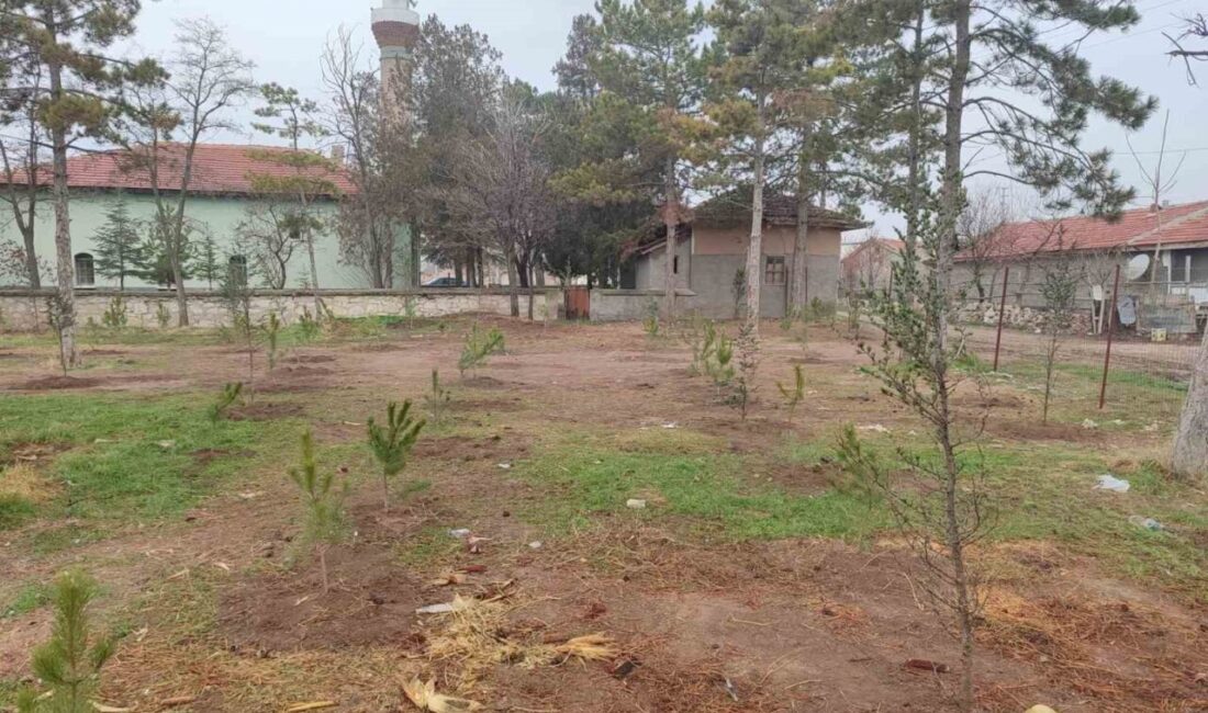 Emirdağ ilçesine bağlı Umraniye köyünde yaşayan vatandaşlar, imece usulü çalışarak