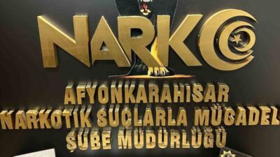 Afyonkarahisar’da polisin düzenlediği uyuşturucu operasyonunda 280 adet uyuşturucu hapla yakalanan