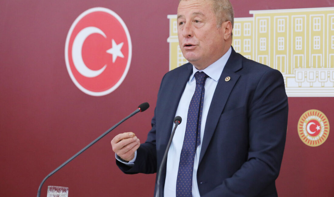 
İYİ Parti Genel Başkan Yardımcısı ve Afyonkarahisar Milletvekili Hakan Şeref