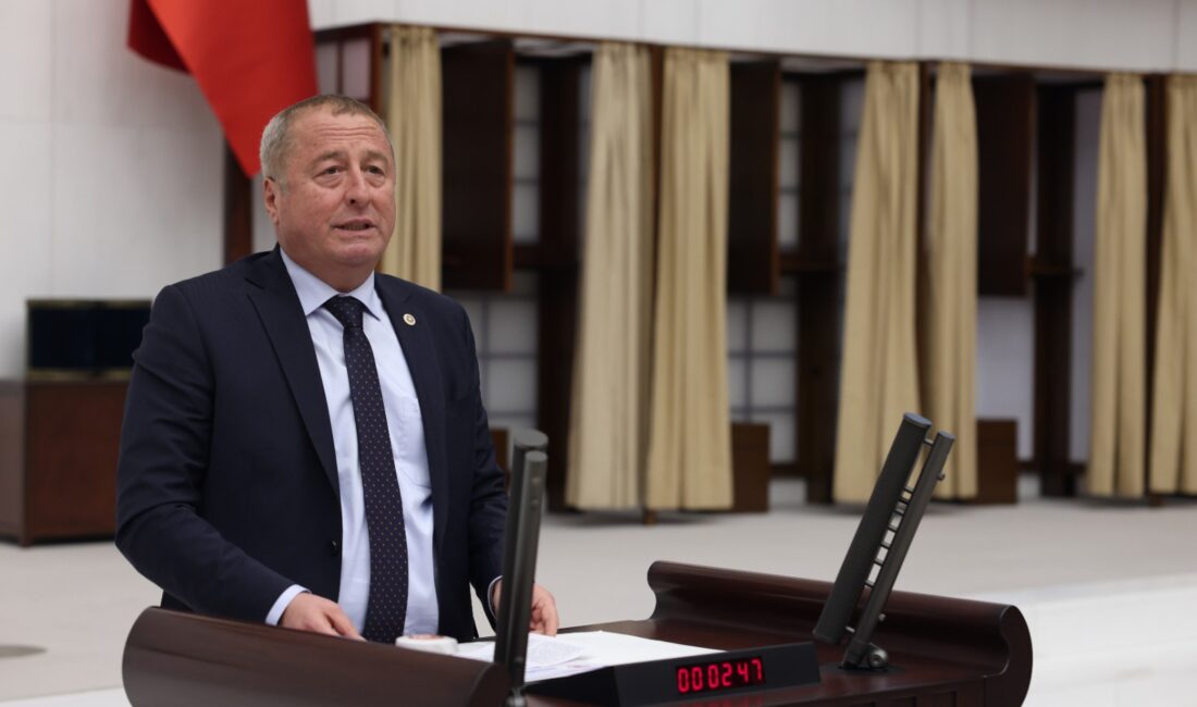 İYİ Parti Afyon Milletvekili Olgun, yapılan değişiklikle posta veya hızlı