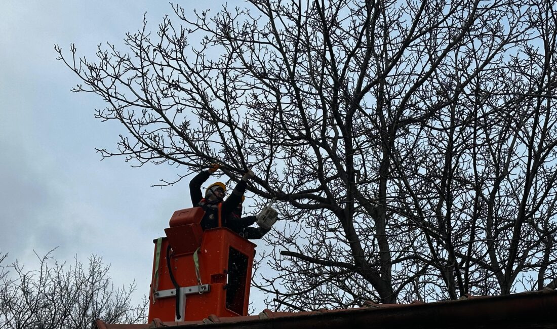 Afyonkarahisar sanayi sitesinde uzun süredir gündeme gelen ağaç budama ihtiyacı,