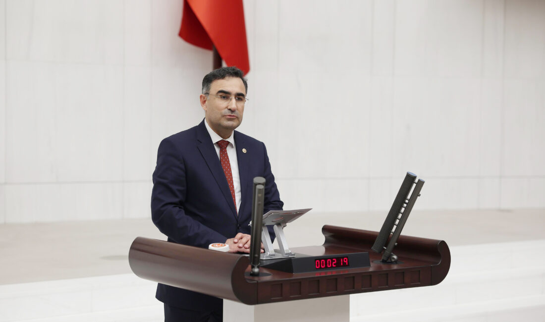 AK Parti Afyonkarahisar Milletvekili Dr. Hasan Arslan, Türkiye Büyük Millet