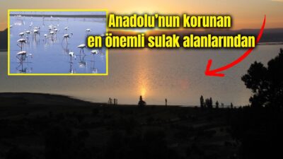 Afyonkarahisar ile Denizli sınırları arasında yer alan Acıgöl, zengin kuş