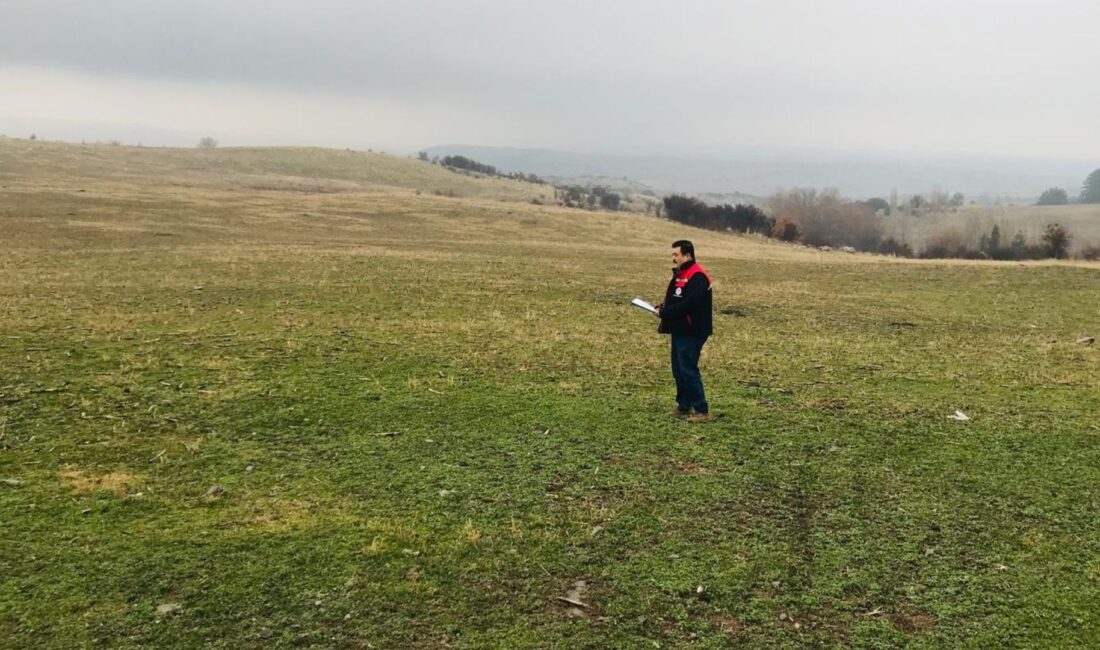 Afyonkarahisar İl Tarım ve Orman Müdürlüğü, il genelinde meralarda verimlilik