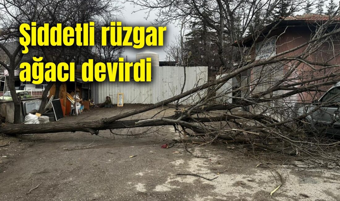 Afyonkarahisar’da etkili olan şiddetli rüzgâr, günlük yaşamı olumsuz etkiledi. Kent