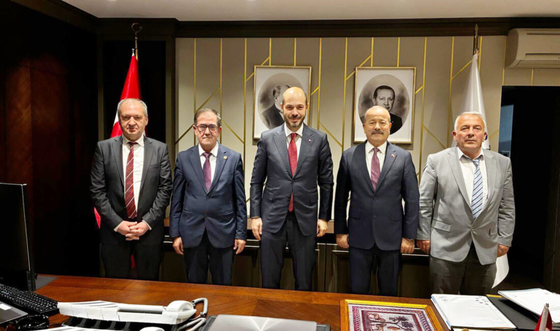 Milliyetçi Hareket Partisi (MHP) Afyonkarahisar Milletvekili Mehmet Taytak; Sinanpaşa İlçe