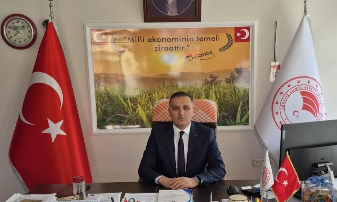 Afyonkarahisar’ın Dinar ilçesinde çiftçilere çerezlik ayçiçeği projesi çerçevesinde yüzde 50