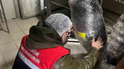 Afyonkarahisar’da gıda üretimi ve satışı yapan 10’a yakın işletmede denetim