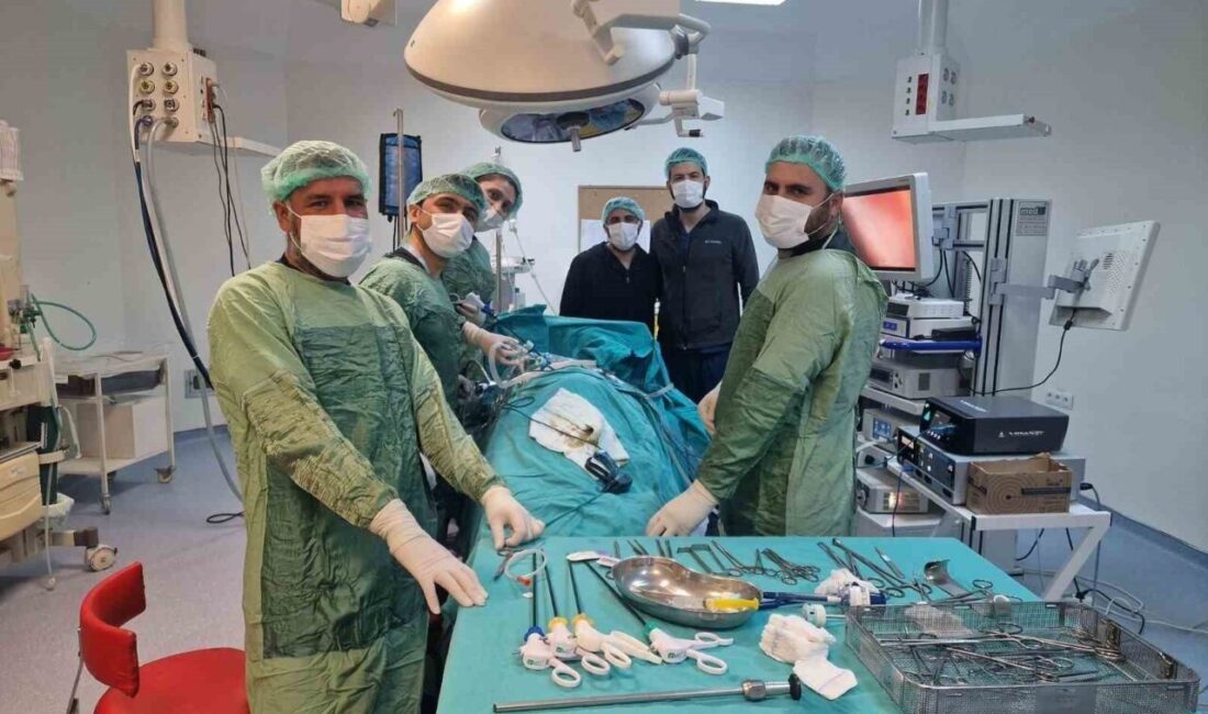 Şanlıurfa’da 10 santimetrelik böbrek kisti kapalı yöntemle alındı Şanlıurfa Viranşehir Devlet Hastanesi’nde, 18 yaşındaki bir hastanın sol böbreğinde