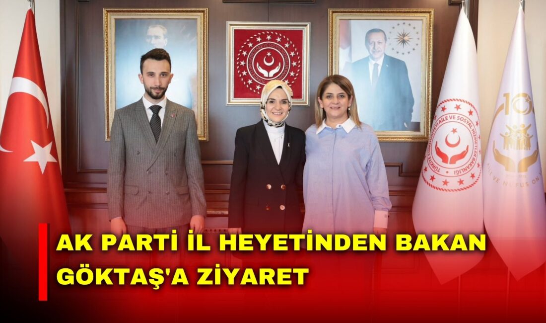 Aile ve Sosyal Hizmetler Bakanı Mahinur Özdemir Göktaş, AK Parti