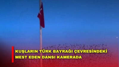 Afyonkarahisar’da kuşların gün batımında Türk bayrağı çevresindeki dansı görenleri adeta