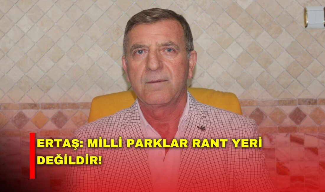 Gelecek Partisi Afyonkarahisar İl Başkanı Niyazi Ertaş, TBMM'de kabul edilen