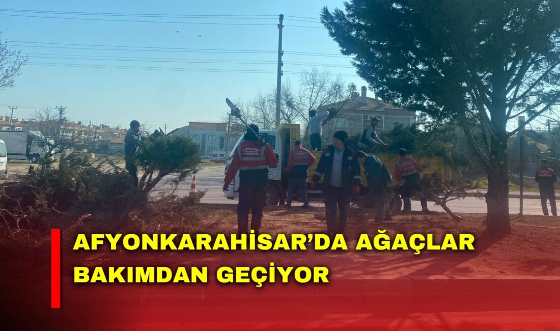 Afyonkarahisar Belediyesi Park ve Bahçeler Müdürlüğü ekipleri, kent genelinde yürüttüğü