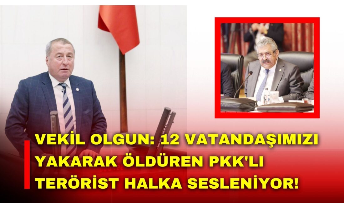 MHP Genel Başkan Yardımcısı ve İstanbul Milletvekili Feti Yıldız’ın, Nevruz’un